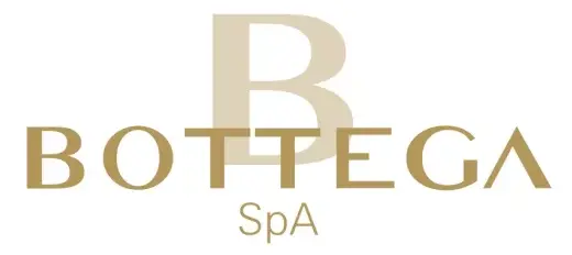 Brand: BOTTEGA